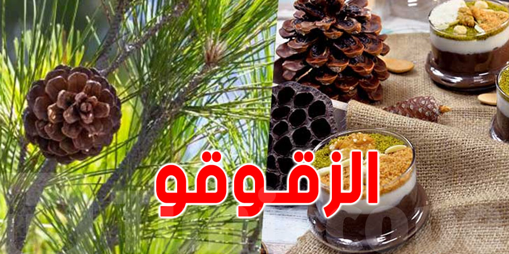 عاجل: هيئة السلامة الصحية تطمئن التوانسة ''الزقوقو سليم''